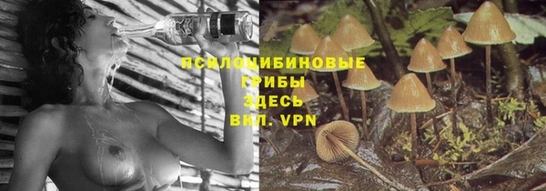PSILOCYBIN Богданович