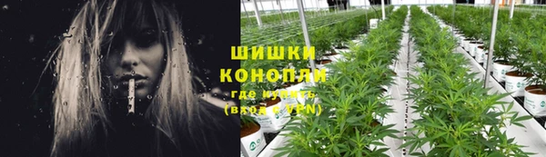 PSILOCYBIN Богданович